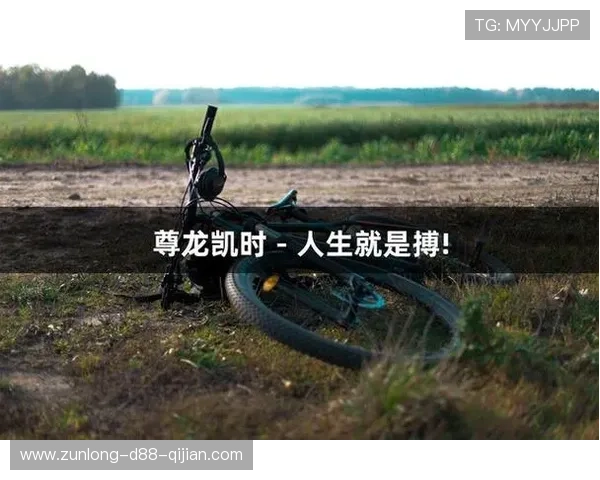 通过尊龙凯时人生就是搏网址，发现属于你的独特人生旅程